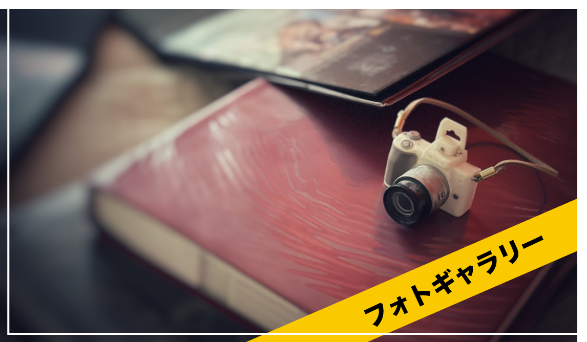 フォトギャラリー